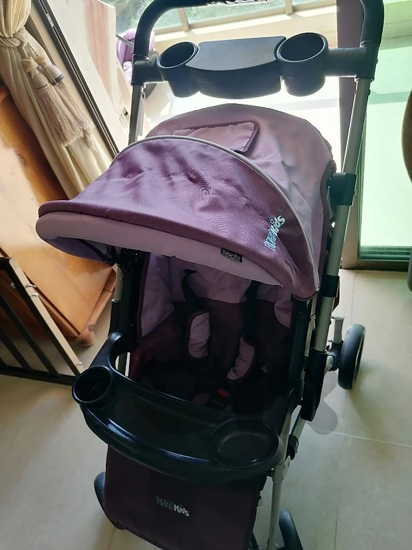 stroller with car seat
