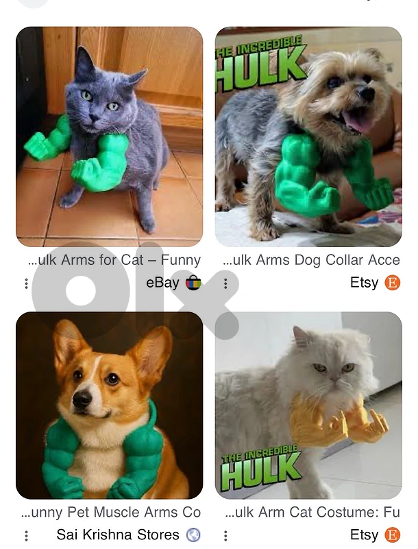 funny hulk muscles for all small breeds