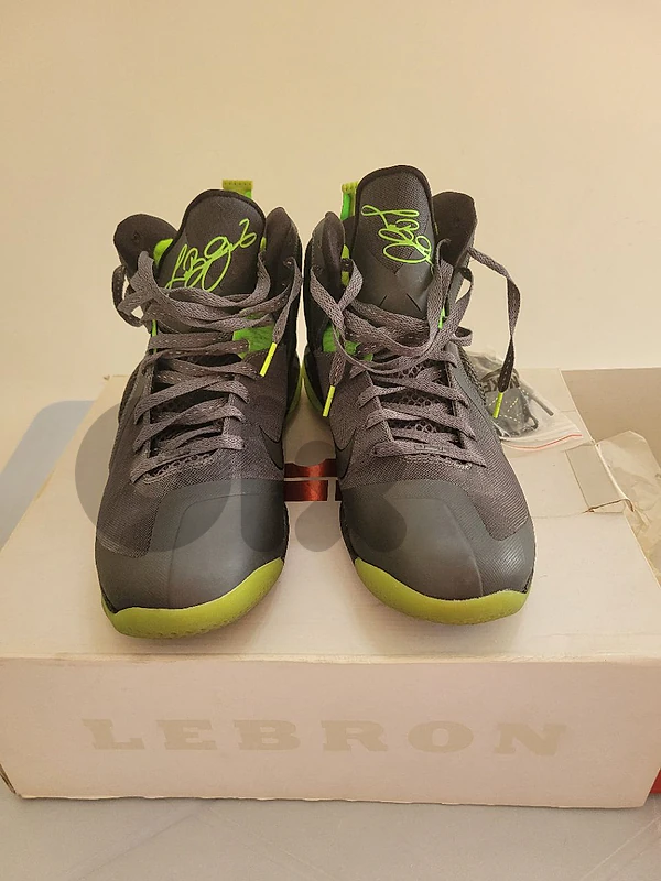 Lebron 9 (Nike) shoes