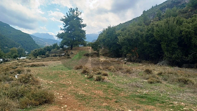 land for sale on Beit-chlela أرض"لقطة "للببع  في بيت شلالا
