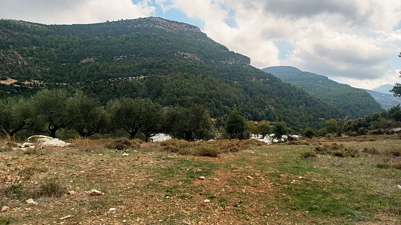 land for sale in Beit-chlela أرض للبيع في بيت شلالا