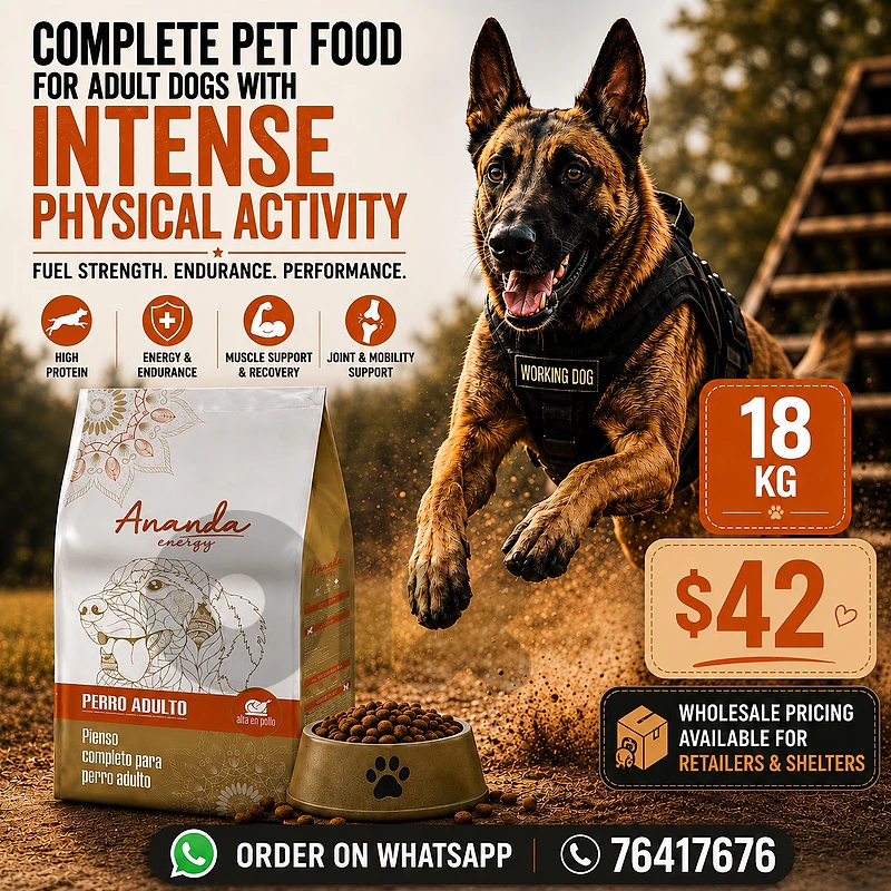 dog dry food from portugal premium