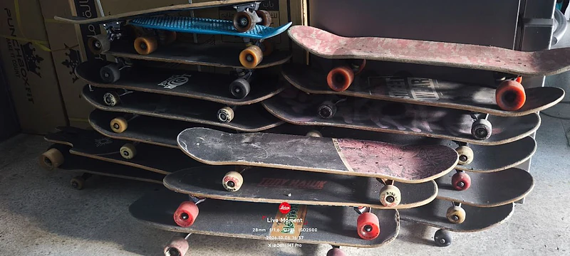 patin from Australia 15pcs