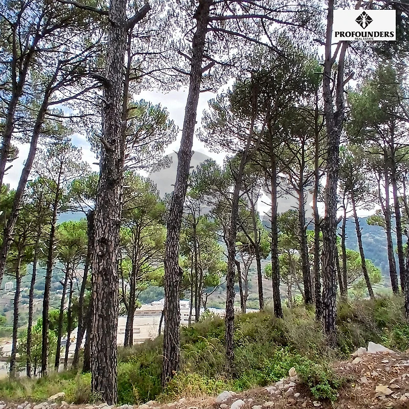 Land for sale in Khenchara ارض للبيع في الخنشارا Land for sale in Khenchara ارض للبيع في الخنشارا