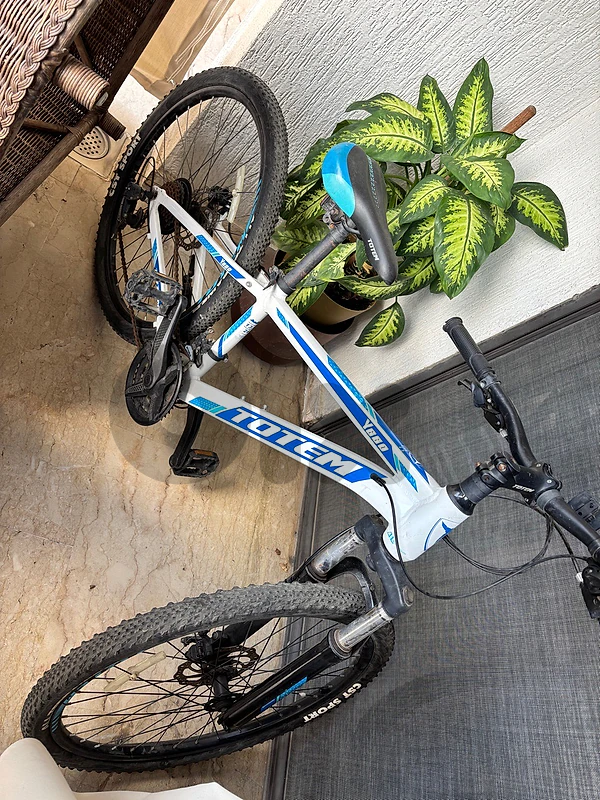 totem bicycle
