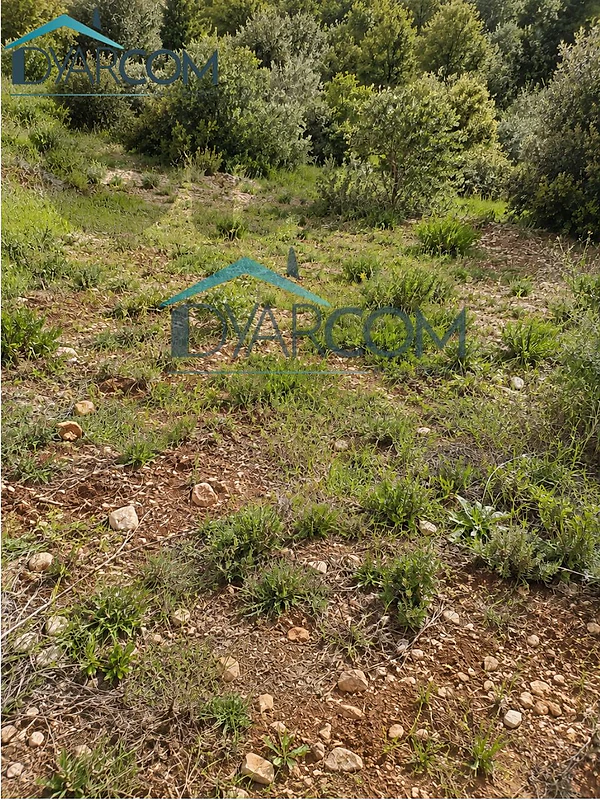 DY3940 - Sahel Alma Land for Sale!