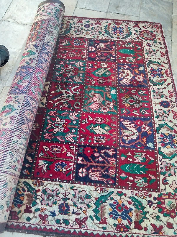 carpet