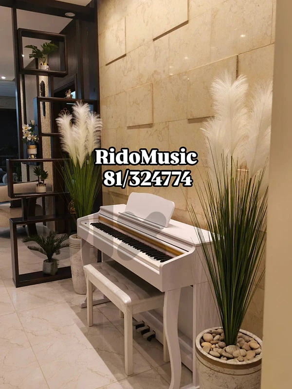electric piano available in 3 colors