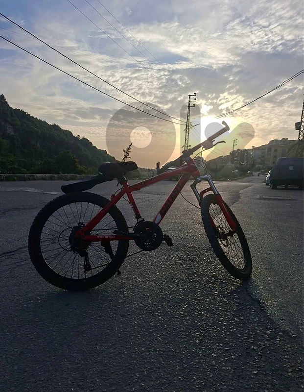 Clean GALANT Mountain Bike + Accessories ma3o cover(shader)