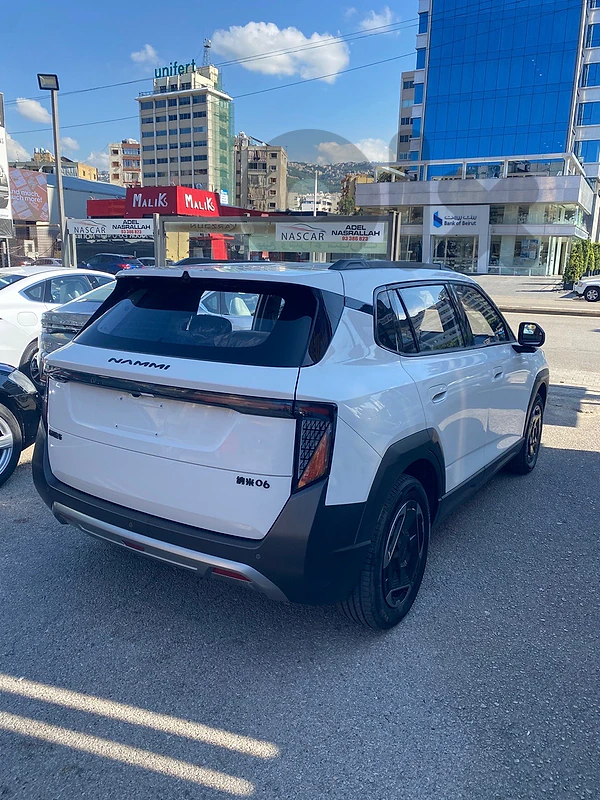DongFeng Nano Box 2025 Nammi 06