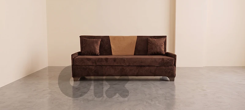 Sleeper Sofa