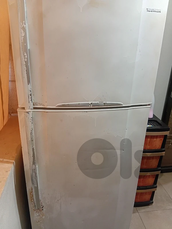 81610394