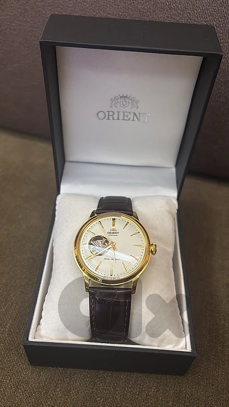 Orient Bambino Gold Color