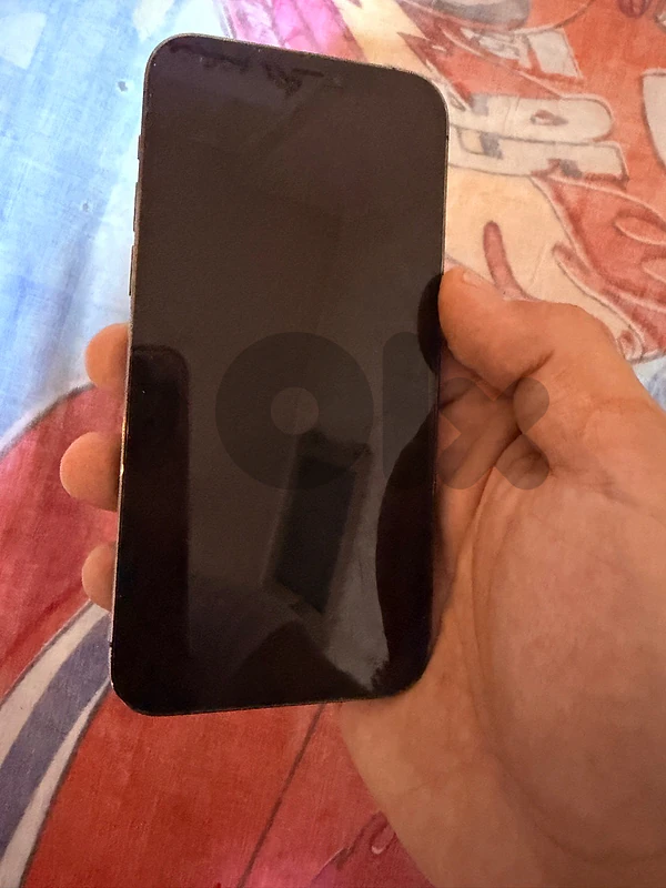 12pro