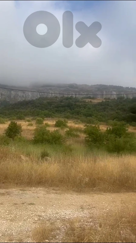 Great Deal - Land for Sale in Hamana with Open View