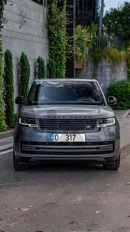 Special Plate Number - O 317