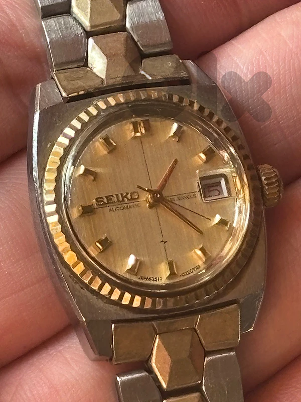 Vintage 1969 Seiko Sea Lion LD 99 Automatic Watch 2517-0311