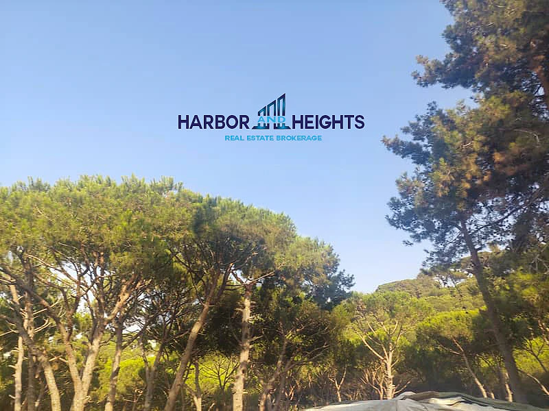 Plot for Sale in Beit Chabeb - أرض للبيع في بيت شباب Plot for Sale in Beit Chabeb - أرض للبيع في بيت شباب