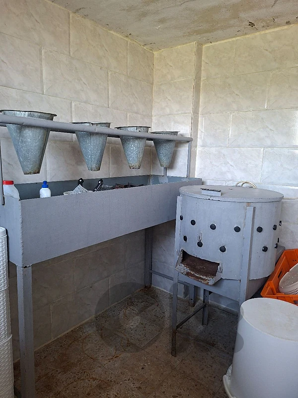 نتافة دجاج (ملاشة)