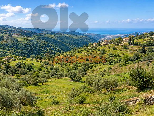 Land for sale Baawerta-Aley for sale أرض للبيع في عاليه-CPHR20