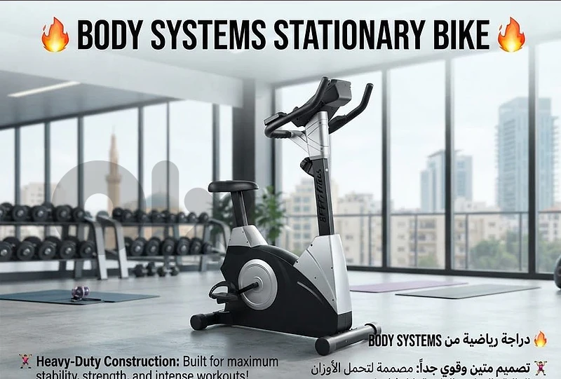 body systems magnetic bike