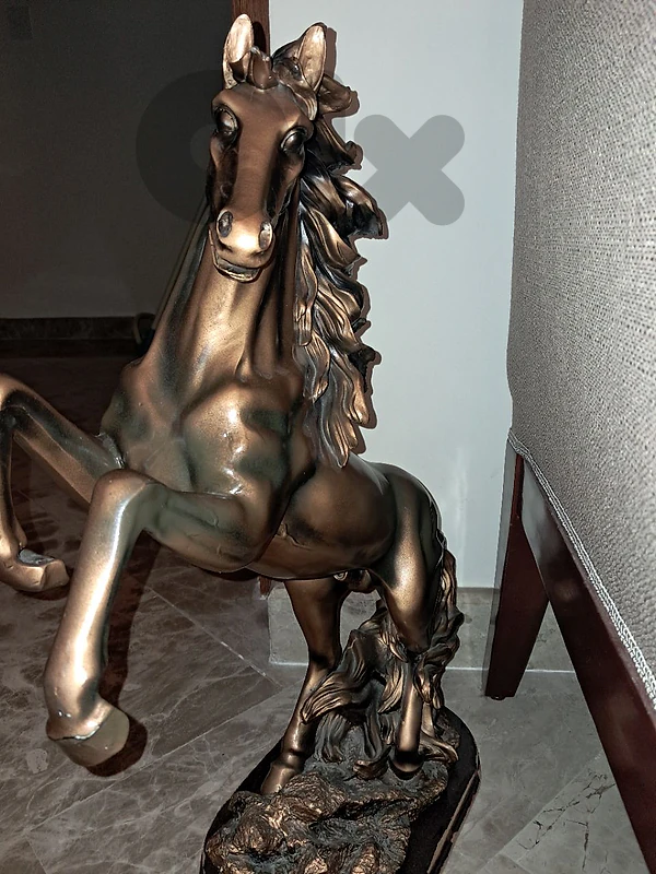 70128338