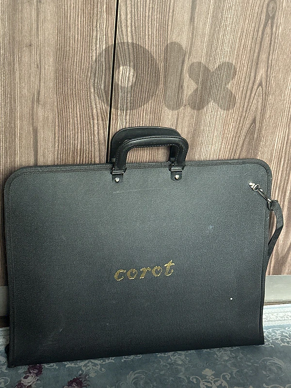 graphic/interior bag
