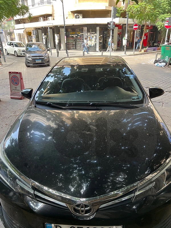Toyota Corolla 2019 base Toyota Corolla 2019 base