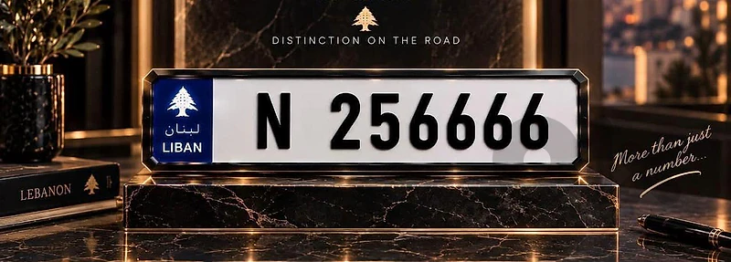 N-256666