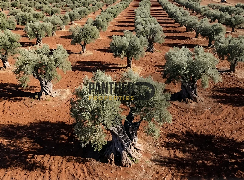 Land for sale in Zgharta Main Road Prime Investment Ref#FR111