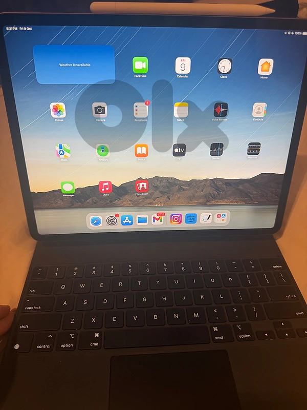 Ipad Pro (12.9 inch) 4th Generation