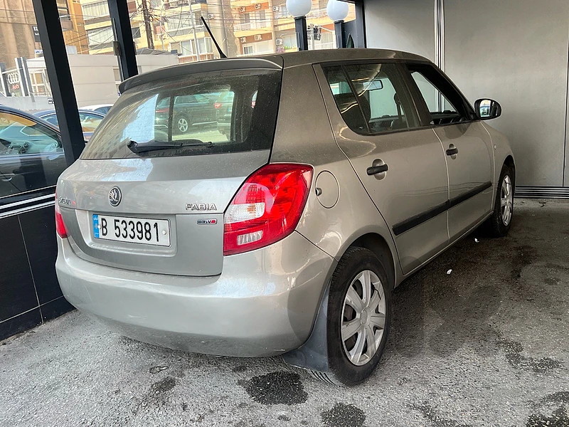 Skoda Fabia 2013 03088250