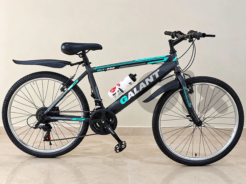 Galant Bicycle