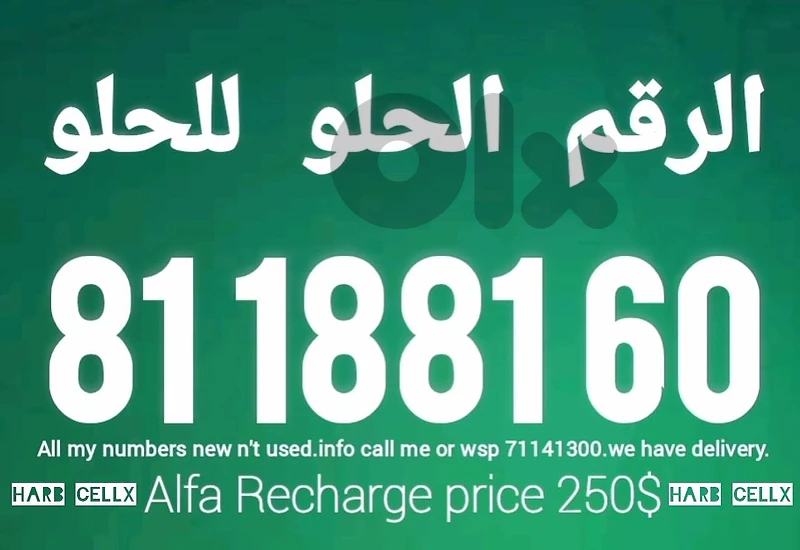 1881,Special Number & price Alfa مميز ألفا تشريج