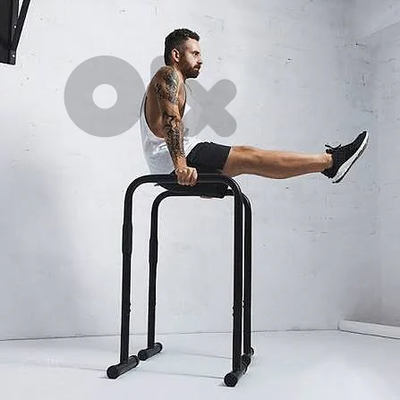 Dip Station Parallel Bar