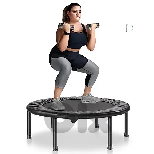 Mini Trampoline