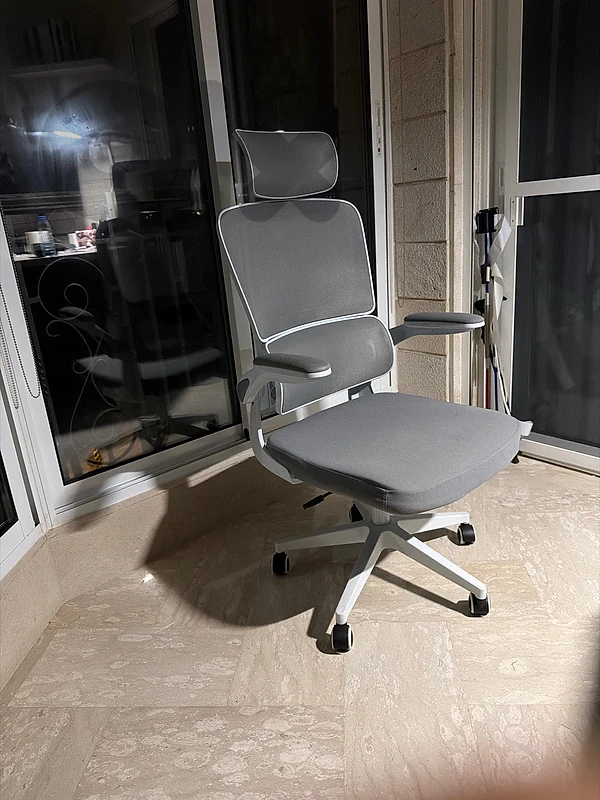 Ergonomic Desk Chair