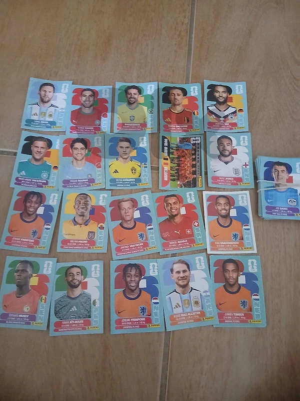 panini sticker
