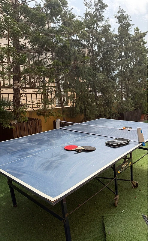Pingpong stiga