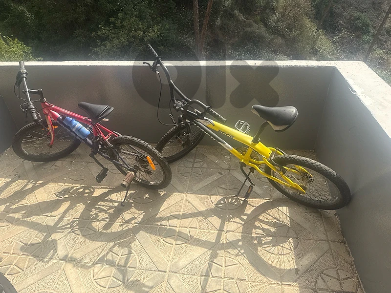 2  bi 50