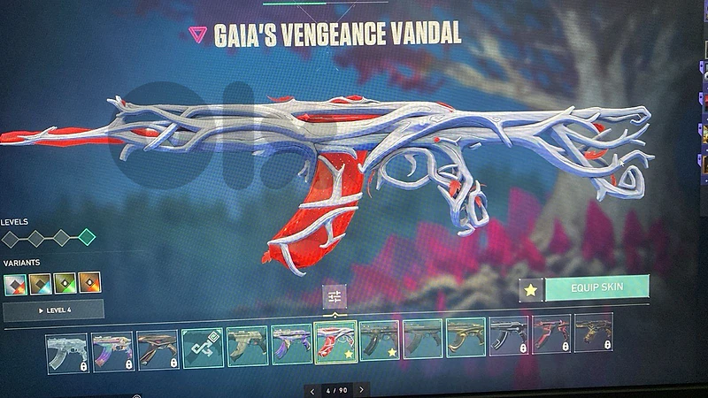valorant acc