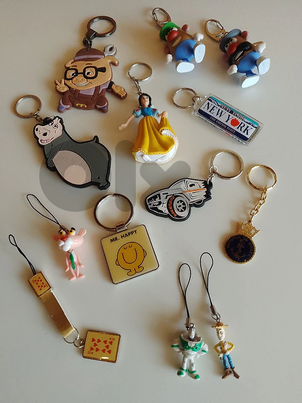 Variable keychain and gadgets collection