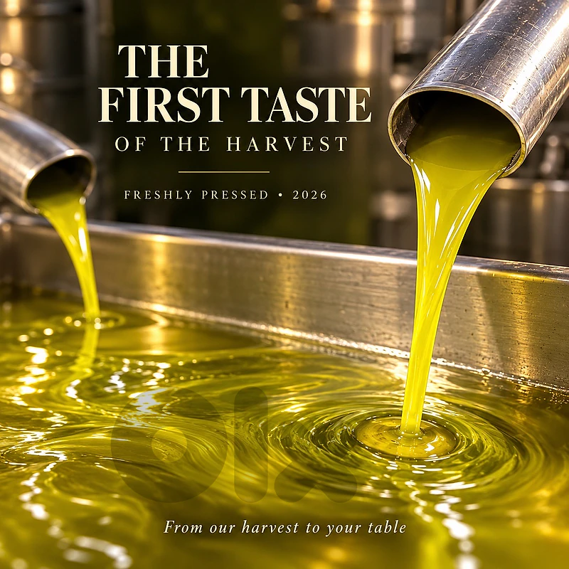 olive oil 2026