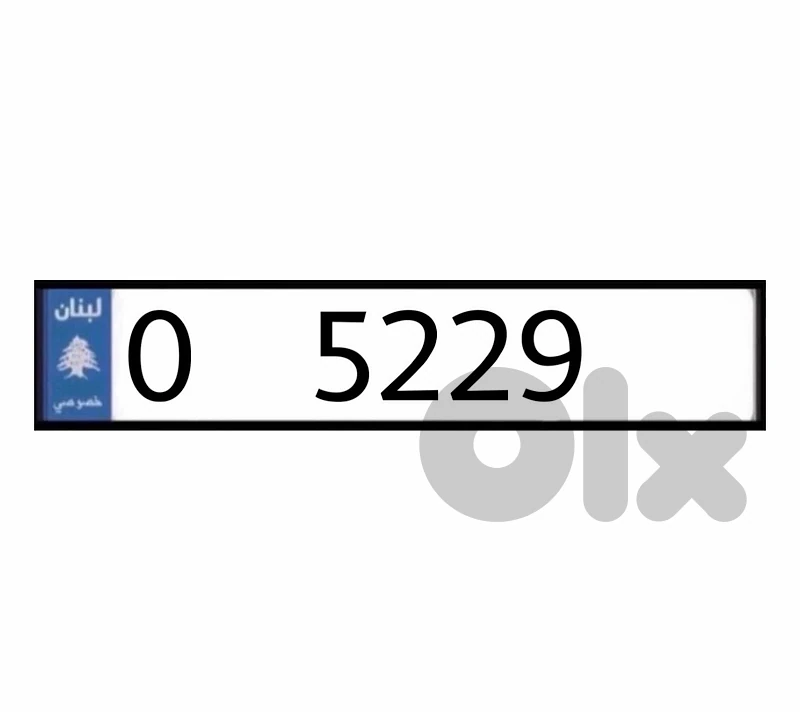 0   5229