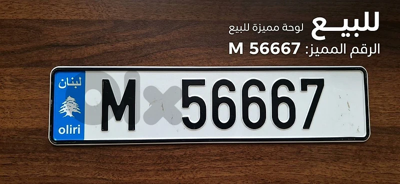 M56667