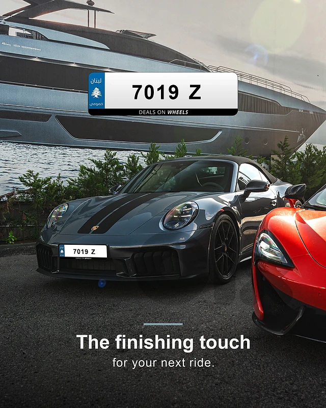 7019 Z