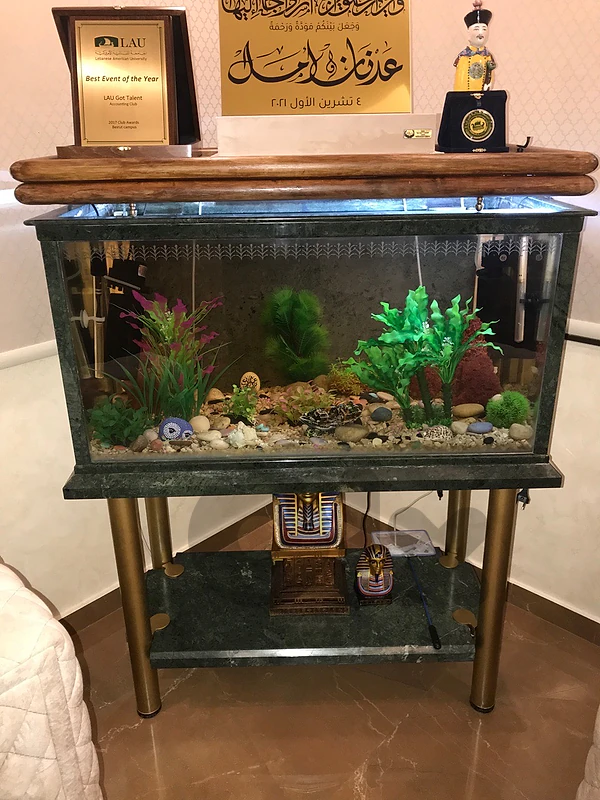 luxury aquarium for sale