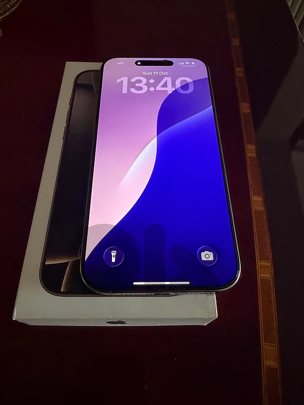 16 Pro Max 256 gb