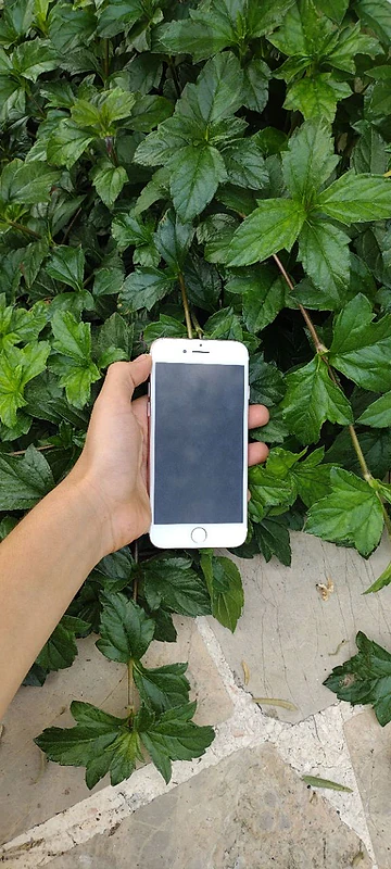 IPHONE 7