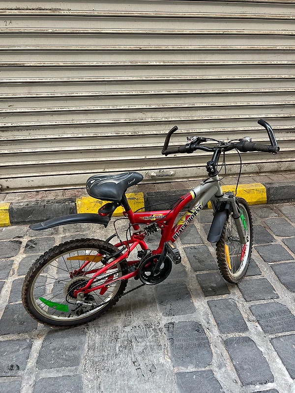 Black Horse Bicycle